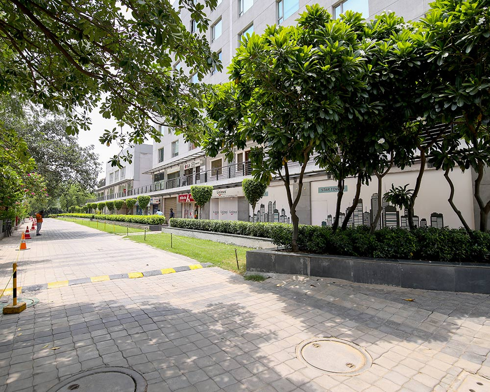 DLF Star Tower Gallery